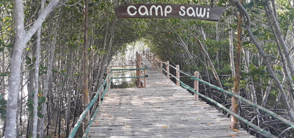 camp sawi